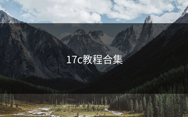 17c教程合集