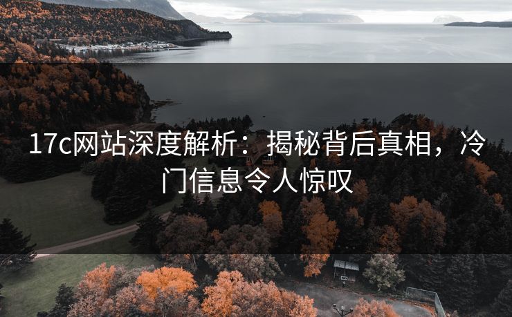 17c网站深度解析：揭秘背后真相，冷门信息令人惊叹