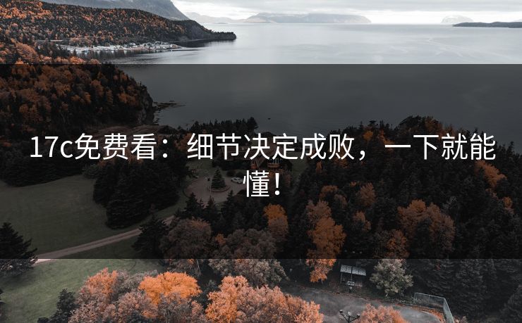 17c免费看：细节决定成败，一下就能懂！