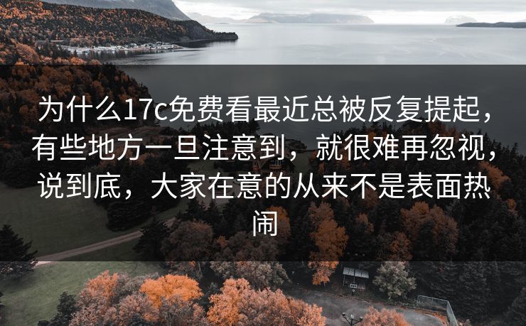为什么17c免费看最近总被反复提起，有些地方一旦注意到，就很难再忽视，说到底，大家在意的从来不是表面热闹