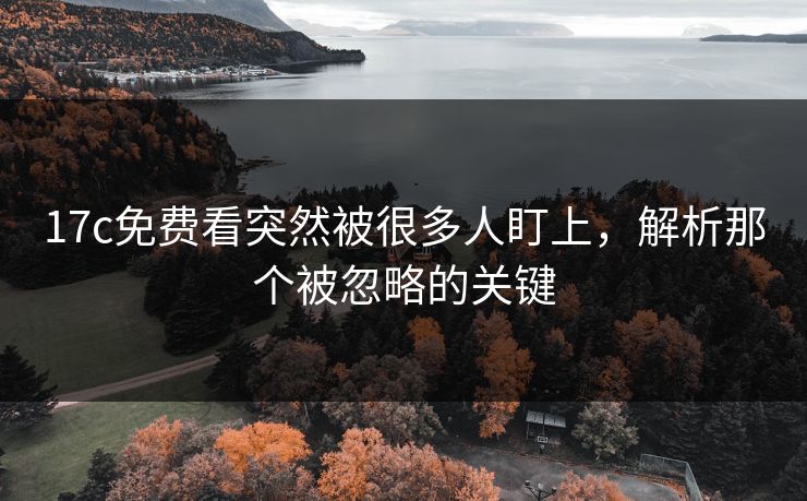 17c免费看突然被很多人盯上，解析那个被忽略的关键