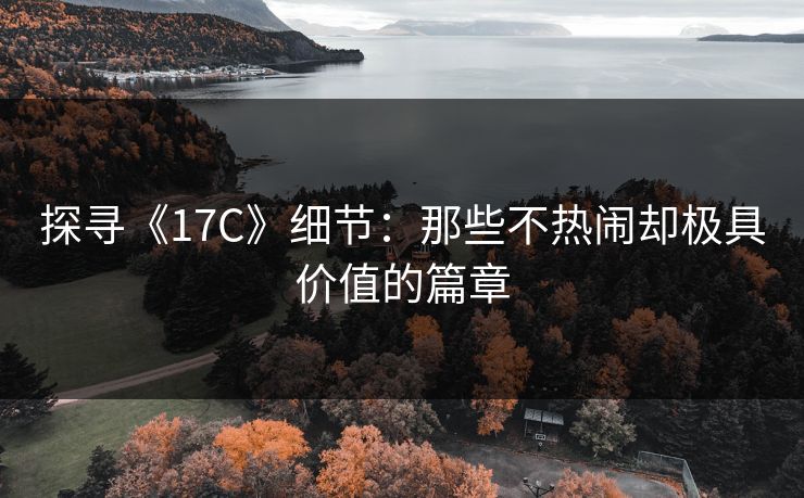 探寻《17C》细节：那些不热闹却极具价值的篇章