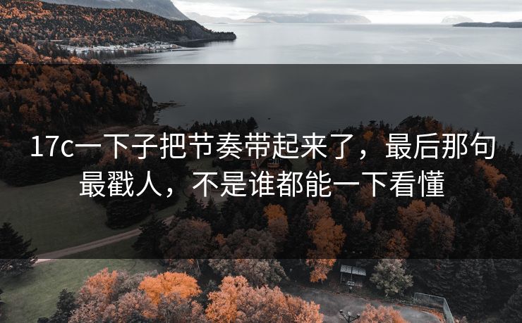 17c一下子把节奏带起来了，最后那句最戳人，不是谁都能一下看懂