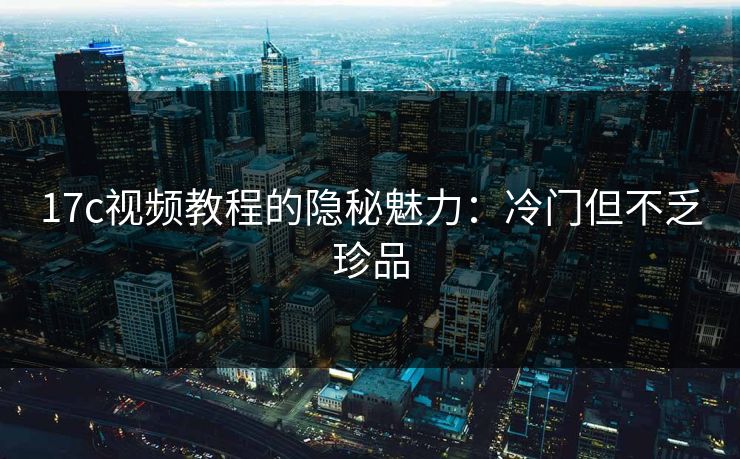 17c视频教程的隐秘魅力：冷门但不乏珍品