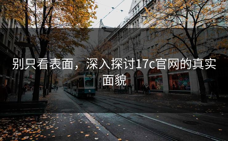别只看表面，深入探讨17c官网的真实面貌
