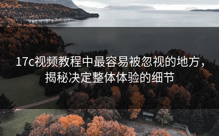 17c视频教程中最容易被忽视的地方，揭秘决定整体体验的细节